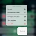 How to Unmute Notifications on iPhone? 17