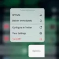 How to Unmute Notifications on iPhone? 17