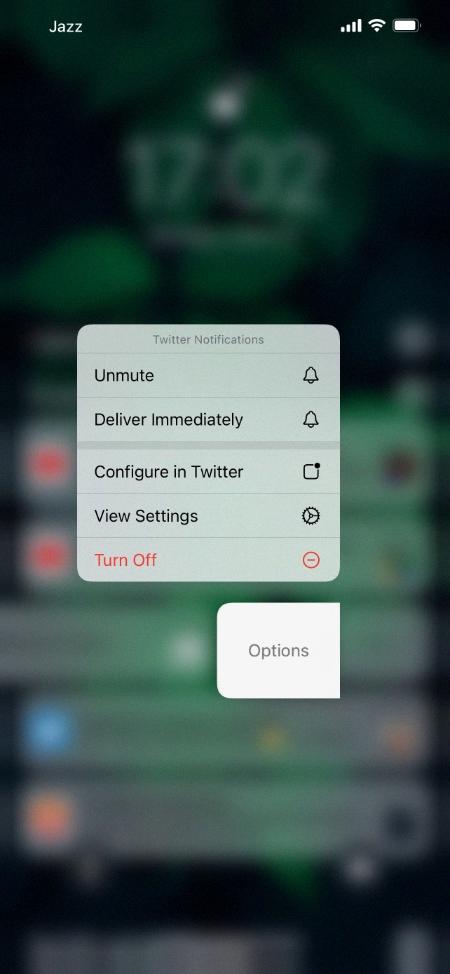 how to unmute notifications on iphone