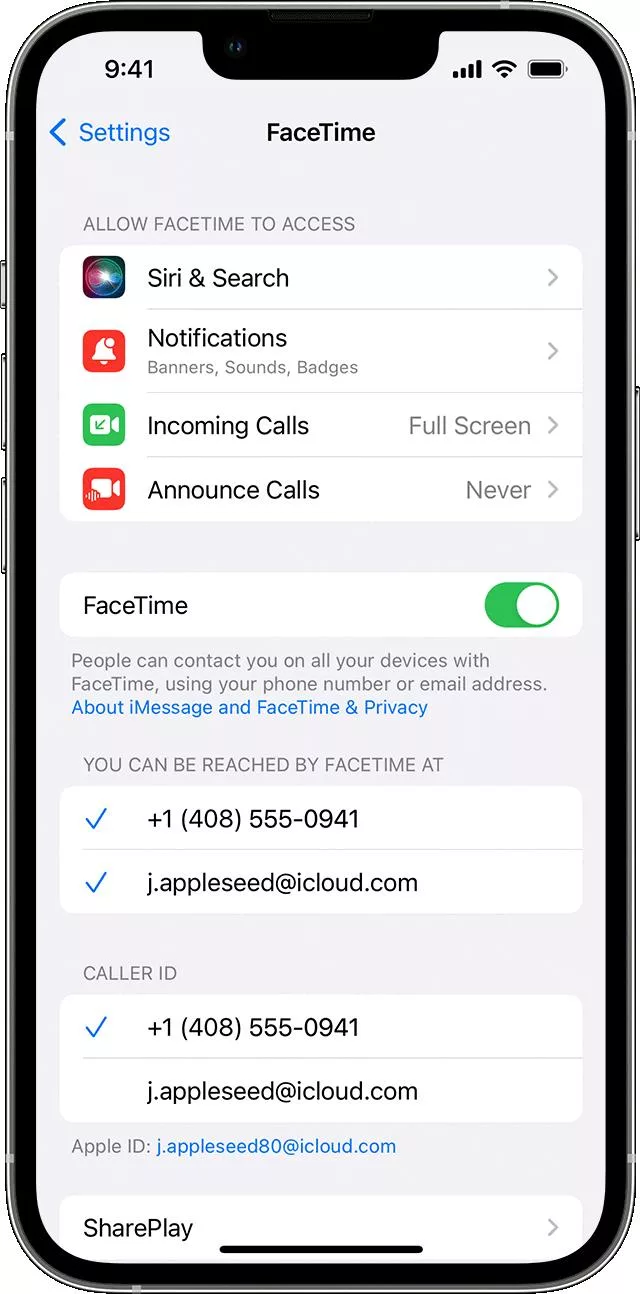 How to Troubleshoot iPhone 13 FaceTime Issues? 9