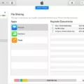 How to Set Up File Sharing on Your Mac? 9