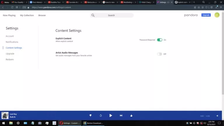 Pandora: Navigating the World of Explicit Content 17