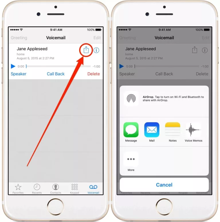 How to Manage Saved Audio Recordings on iPhone? 15