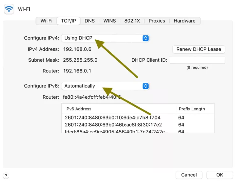 How to Solve the Self-Assigned IP Error on Macs? 19