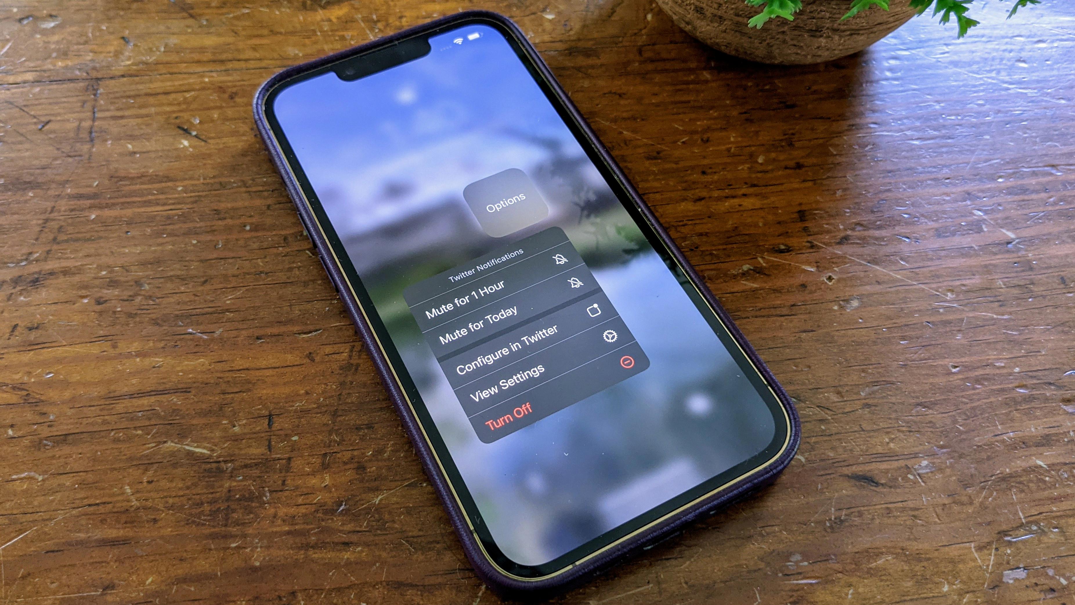 How to Temporarily Mute Notifications On iOS? 15