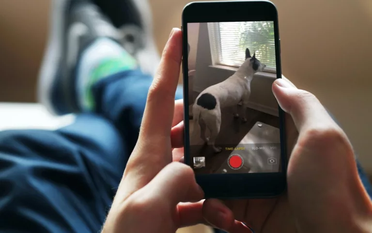 How to Create Epic Time-Lapse Videos with iPhone 12? 15