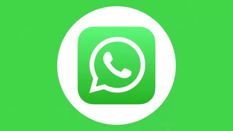 Does WhatsApp Share Your Phone Number? 11