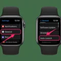 How to Turn Off Now Playing on Apple Watch? 9