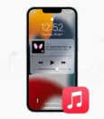 How to Turn Off Pandora On iPhone 11? 15