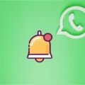 How to Customize Your WhatsApp Ringtones? 17