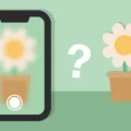 Why is Your Camera Blurry? 3