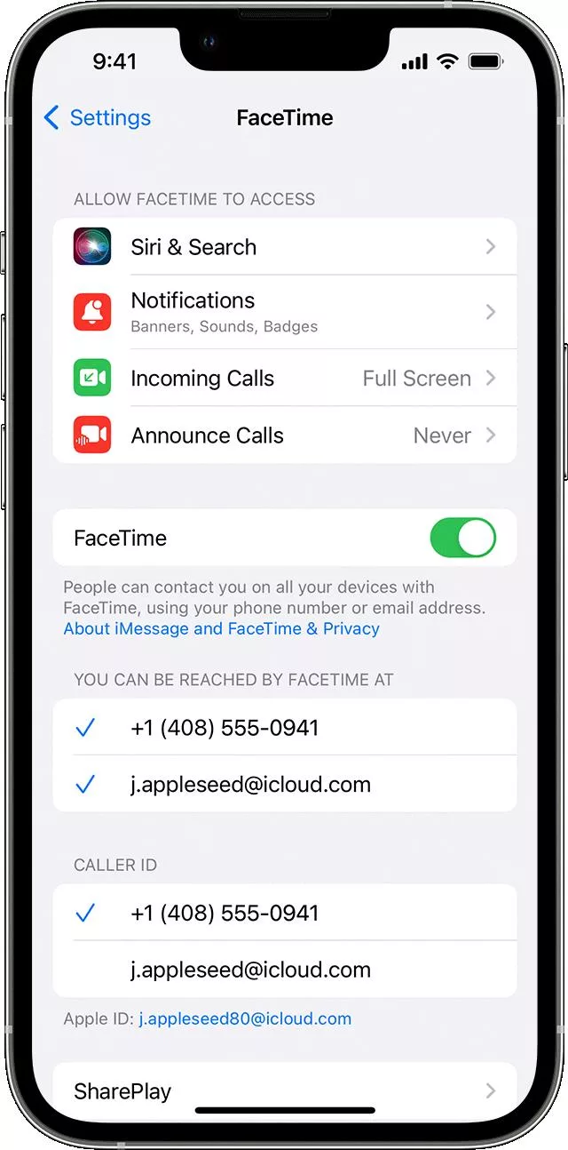 Why is Your iPhone Only Showing Recent Facetime Calls? 3
