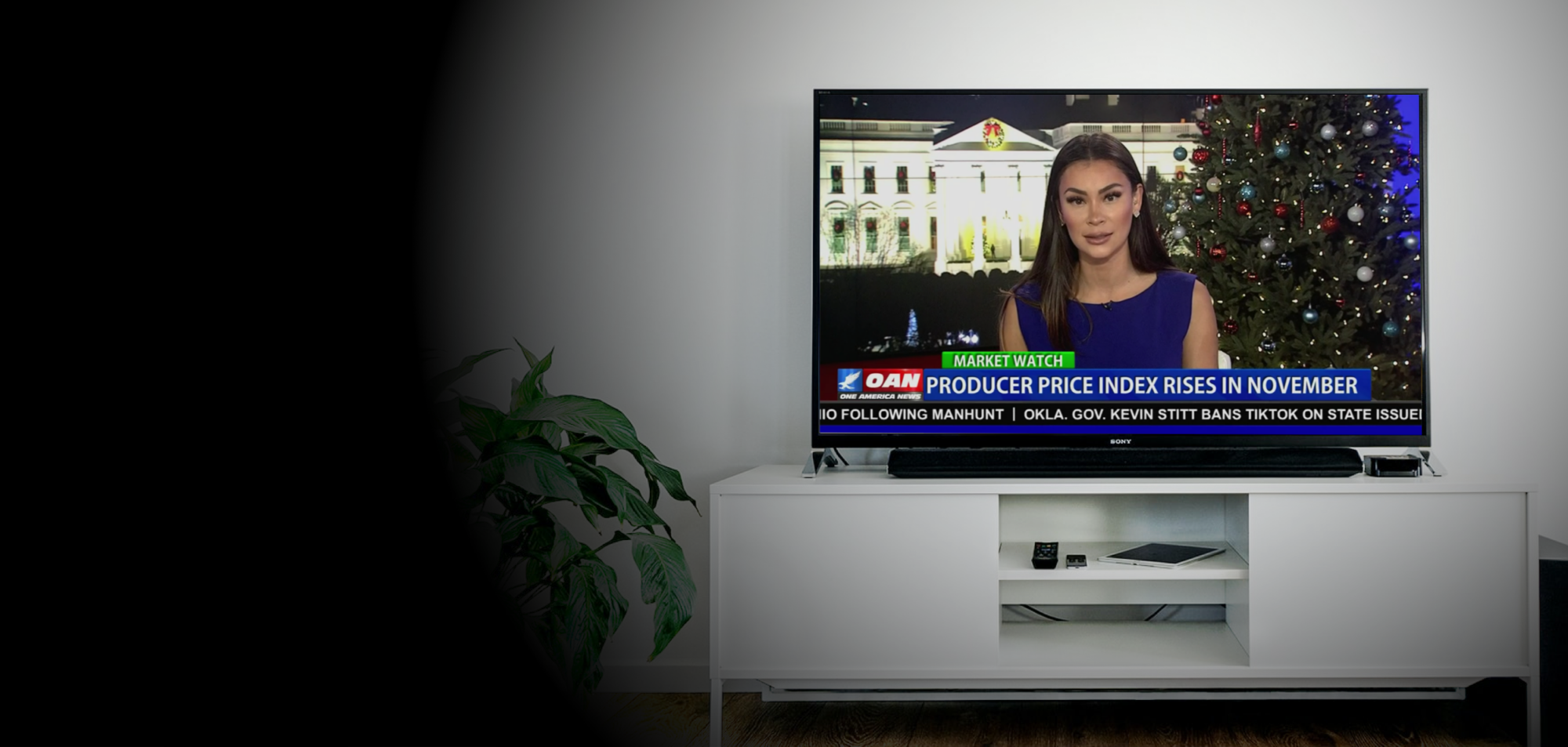 How to Watch OANN On Your Samsung Smart TV? 1