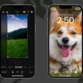 How Do You Crop a Picture On Your iPhone? 9