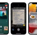 How to Disable Mute Sound on iOS 15? 12