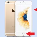How to Fix iPhone 6 Showing Apple Logo and Shutting Down? 11