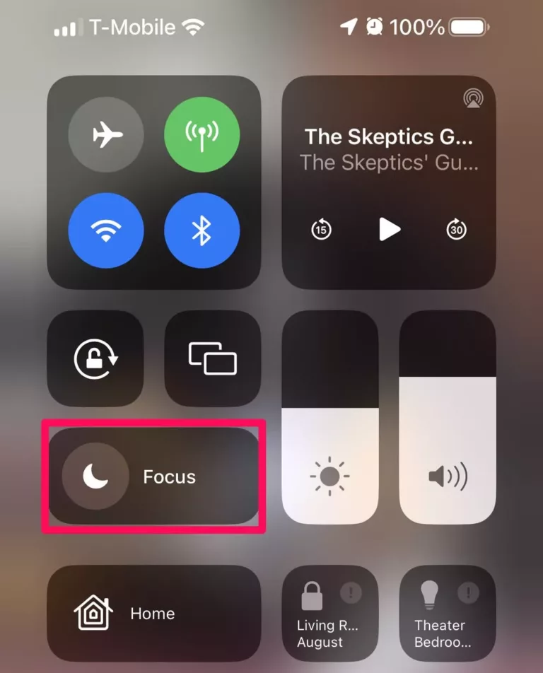Why Your iPhone Doesn't Ring? 5