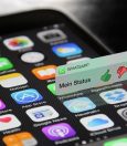Why Are Your Whatsapp Messages Not Delivering to One Person? 19