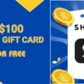 Why is Shein Not Accepting Your Visa Gift Card? 7