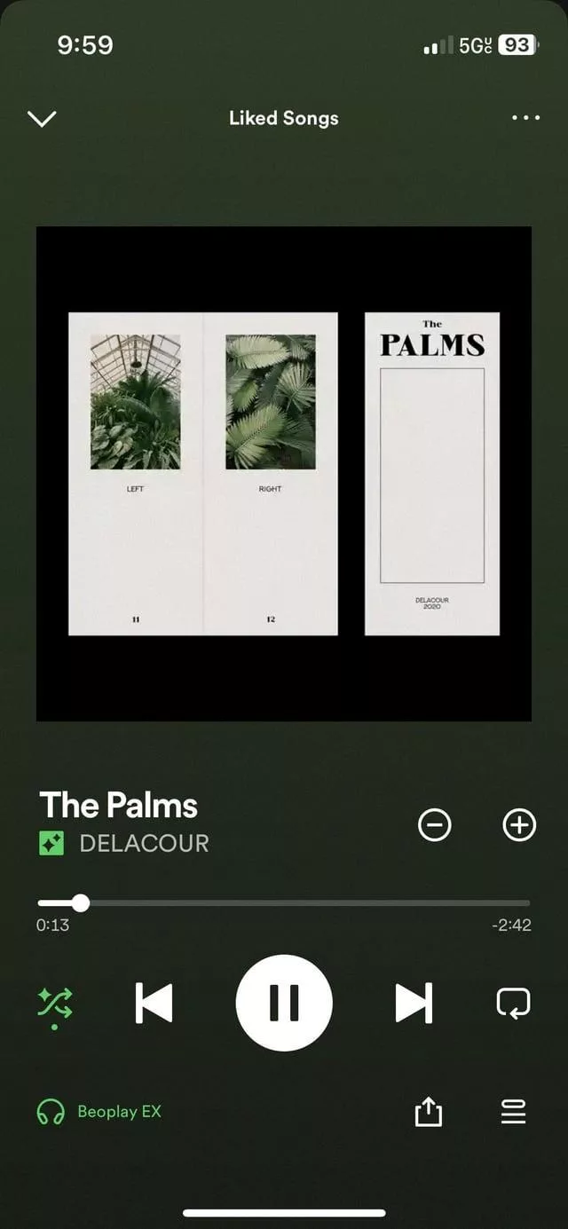 Why is Spotify Playing Songs Not on Your Playlist? 20 Why is Spotify Playing Songs Not on Your Playlist? 19