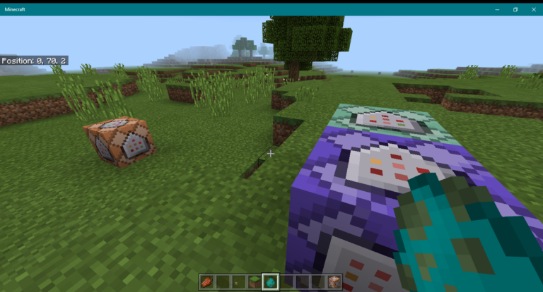 How to Check Coordinates in Minecraft on Windows 10? 1