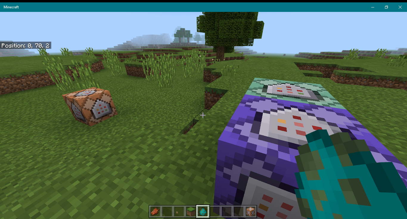 How to Check Coordinates in Minecraft on Windows 10? 2 How to Check Coordinates in Minecraft on Windows 10? 1
