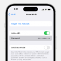 How to Check WiFi Data Usage on iPhone? 13