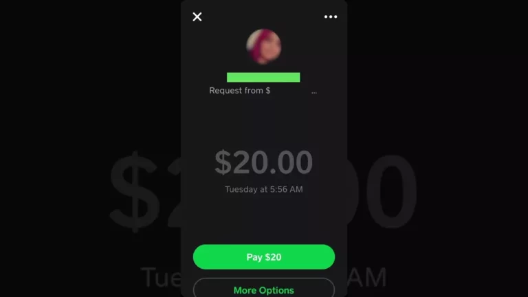 How to Decline a Cash App Payment? 7