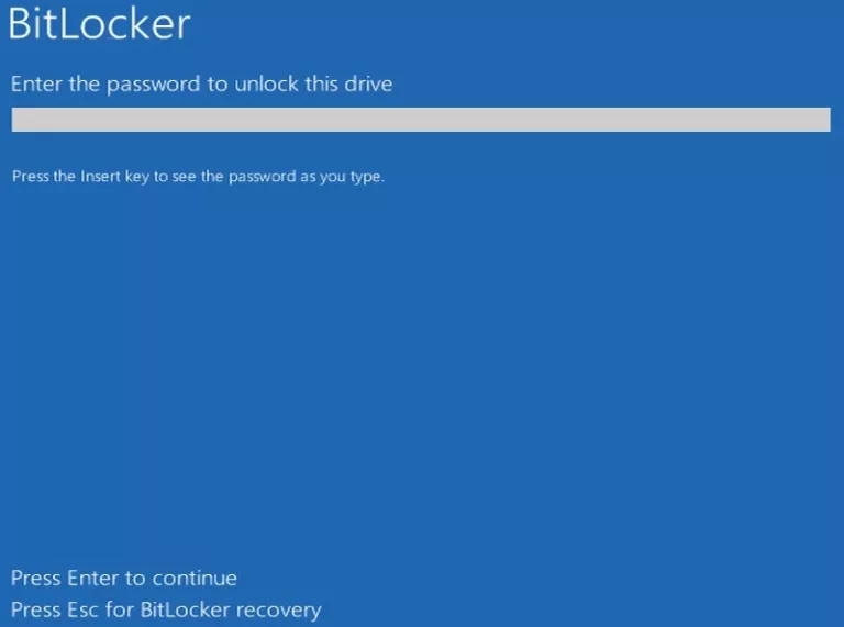 How to Bypass the Dell Bitlocker Recovery Key? 1
