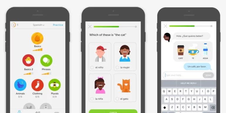 How to Delete a Language on Duolingo Android? 17