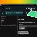 How to Flush DNS Cache on Android Device? 9