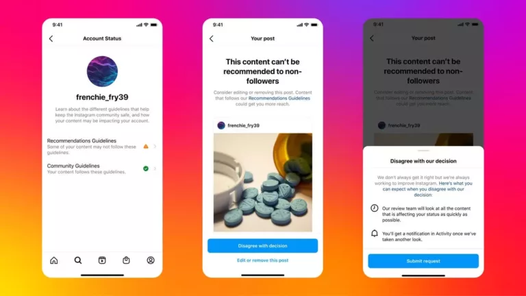 Does Spam Liking Cause Shadowban Instagram? 13