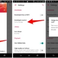 How to Change Download Location for Apple Music on Android? 17