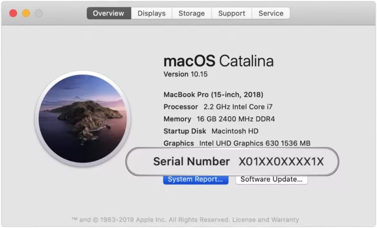 How to Find Your Apple Device's Manufacture Date Using Its Serial Number? 17