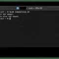 Bash Does Not Equal: Understanding the 'Not Equal To Operator' in Bash 5