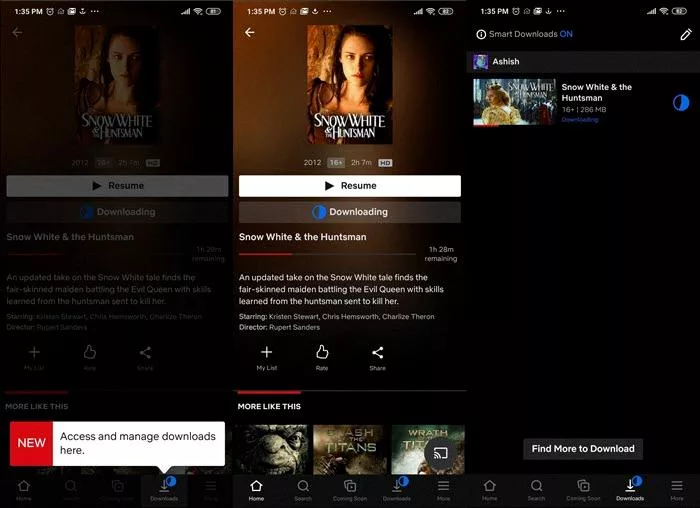 Can You Screen Record Netflix on iPhone? 16 Can You Screen Record Netflix on iPhone? 15