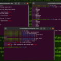Discovering Unique Lines with grep Command: The Power of uniq in Linux 13