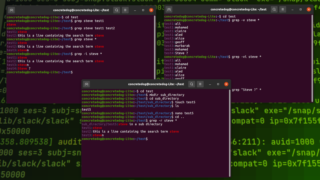Discovering Unique Lines with grep Command: The Power of uniq in Linux 2 Discovering Unique Lines with grep Command: The Power of uniq in Linux 1