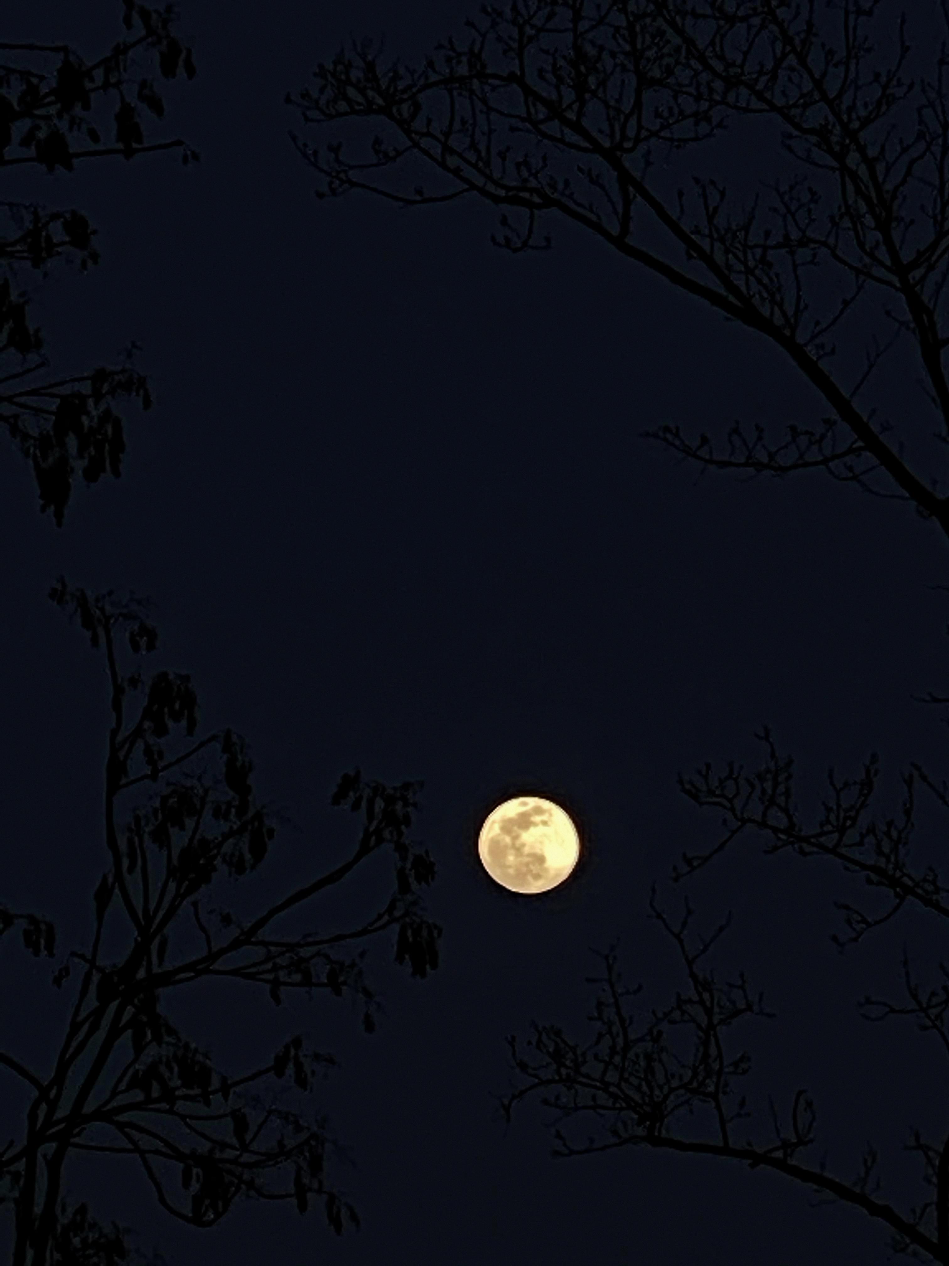 how to take moon pictures with iphone 11