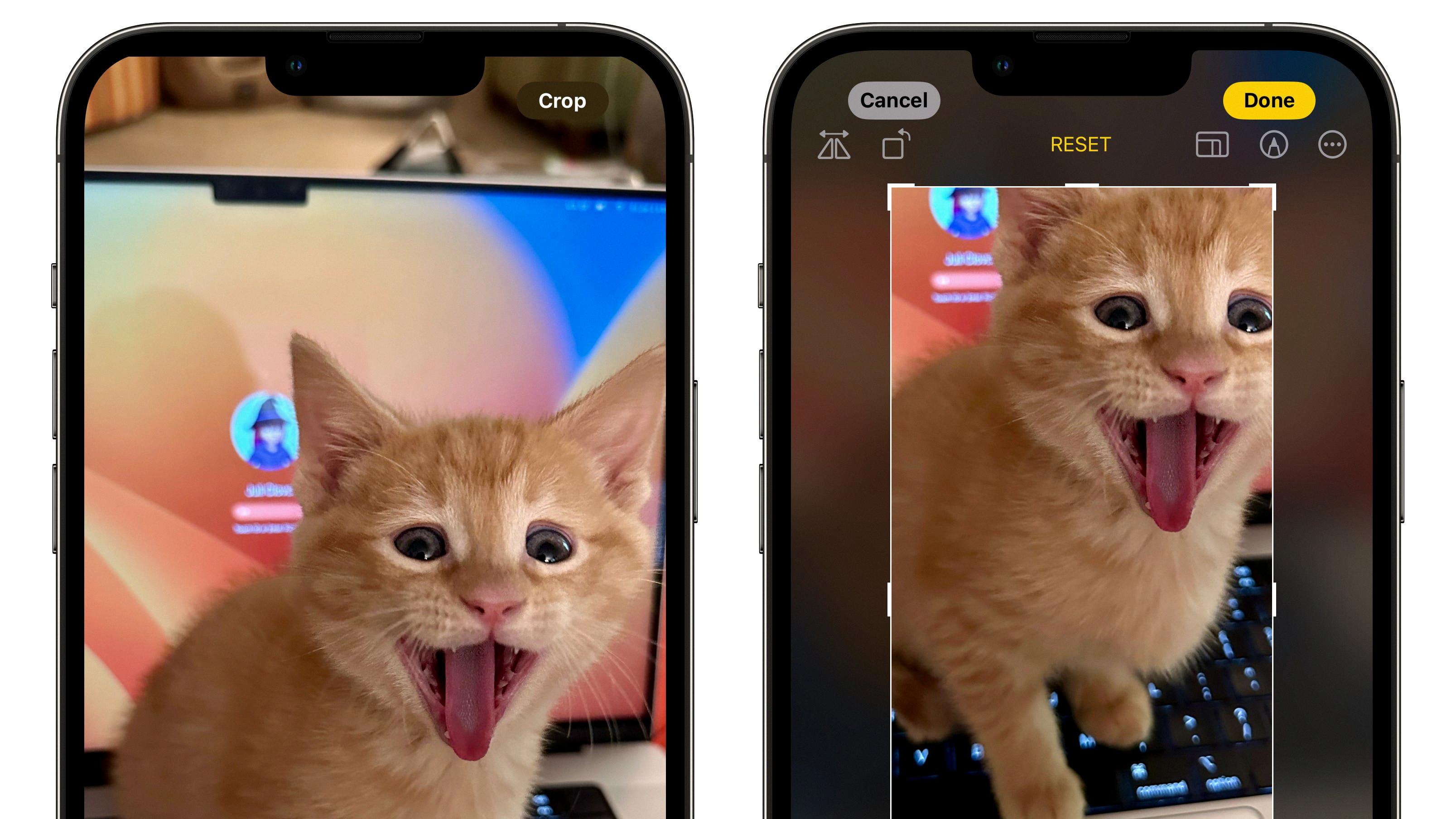 iphone screenshot crop