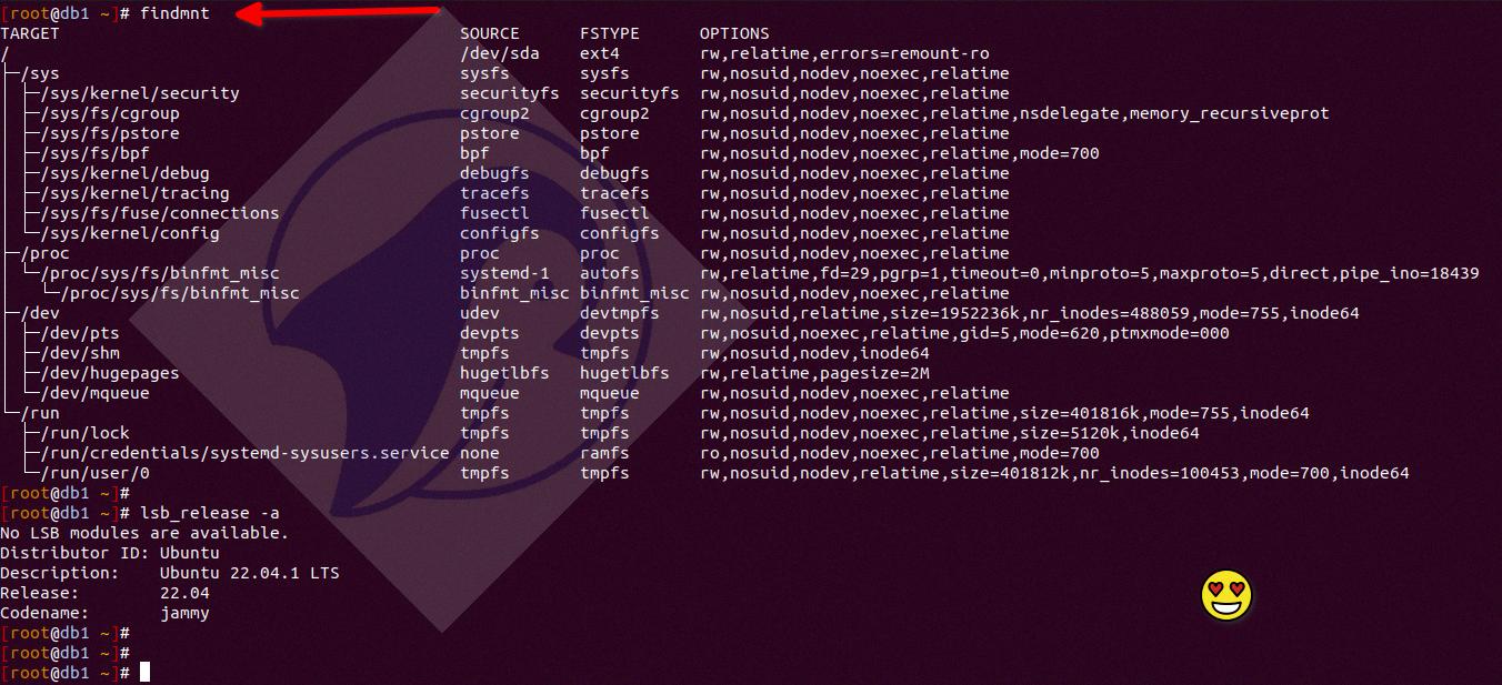 linux show mounted drives