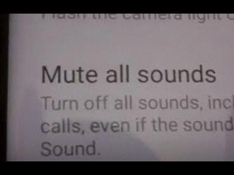 mute all sounds turned on