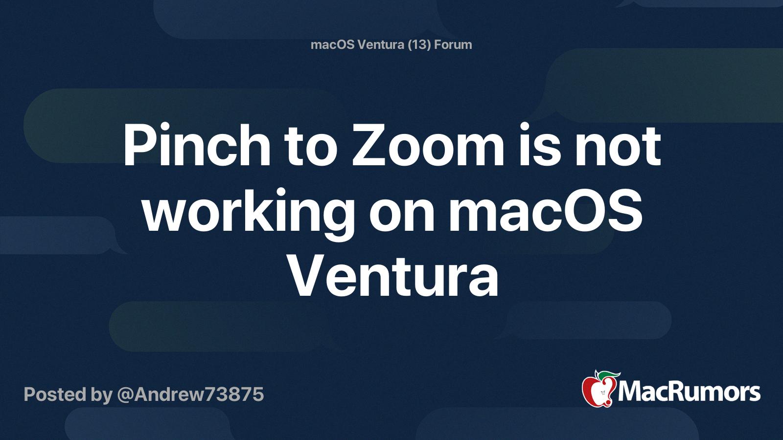 pinch zoom not working