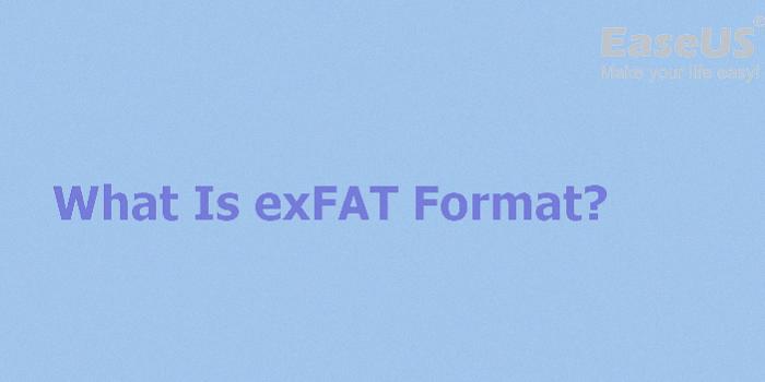 read exfat on windows xp