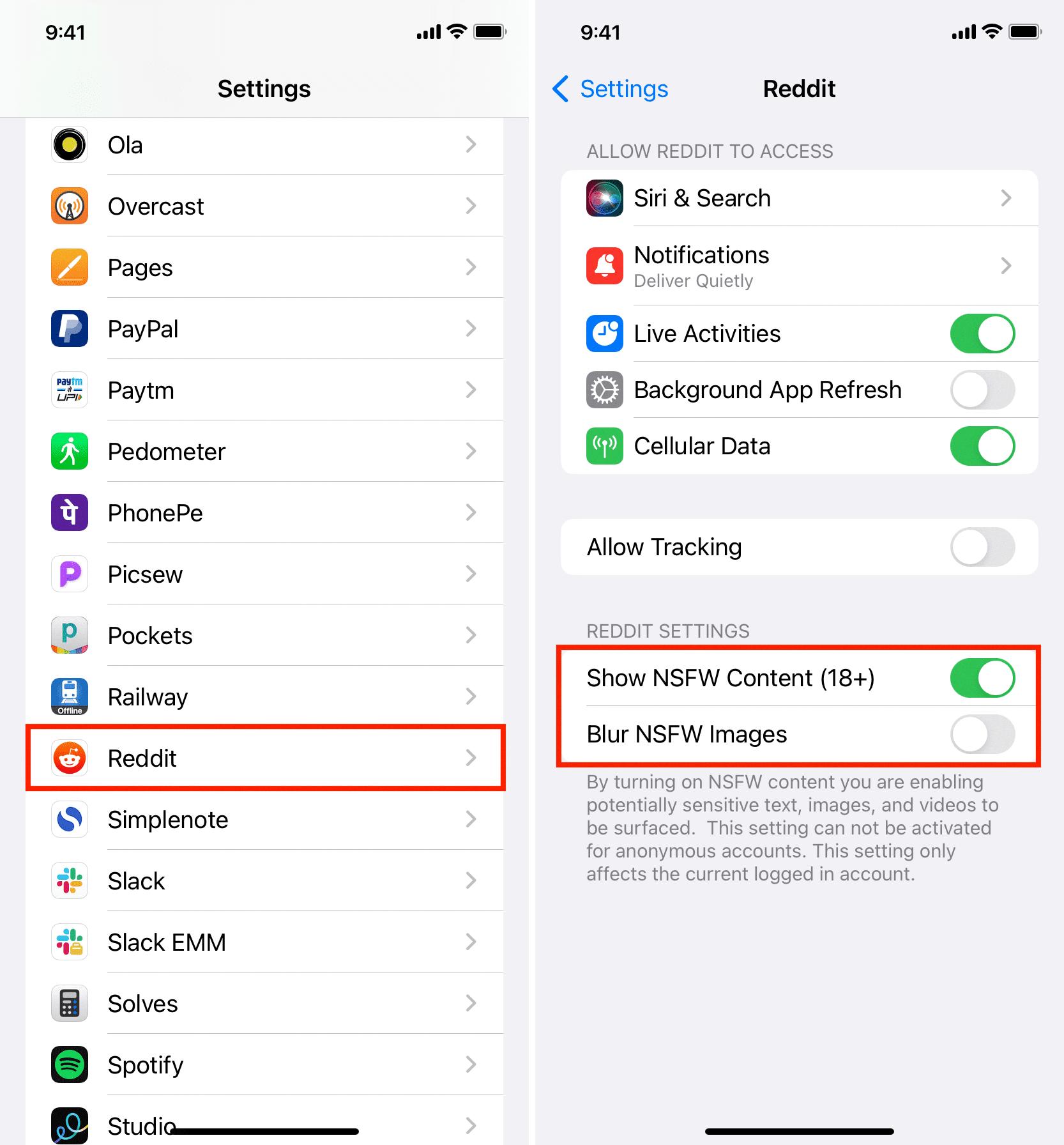 reddit nsfw setting