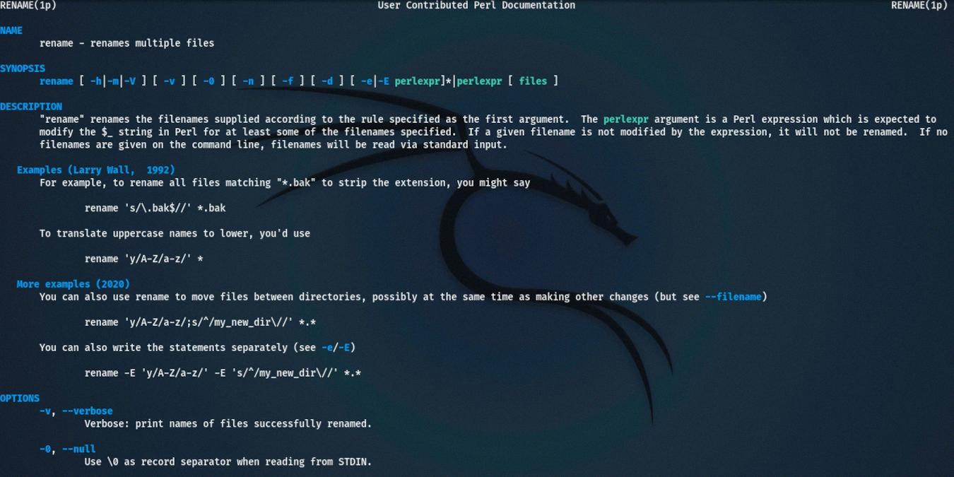 rename files linux