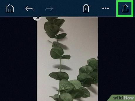 reverse audio instagram
