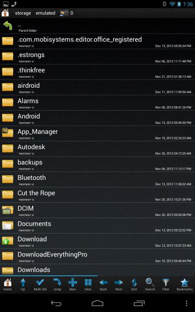 storage emulated