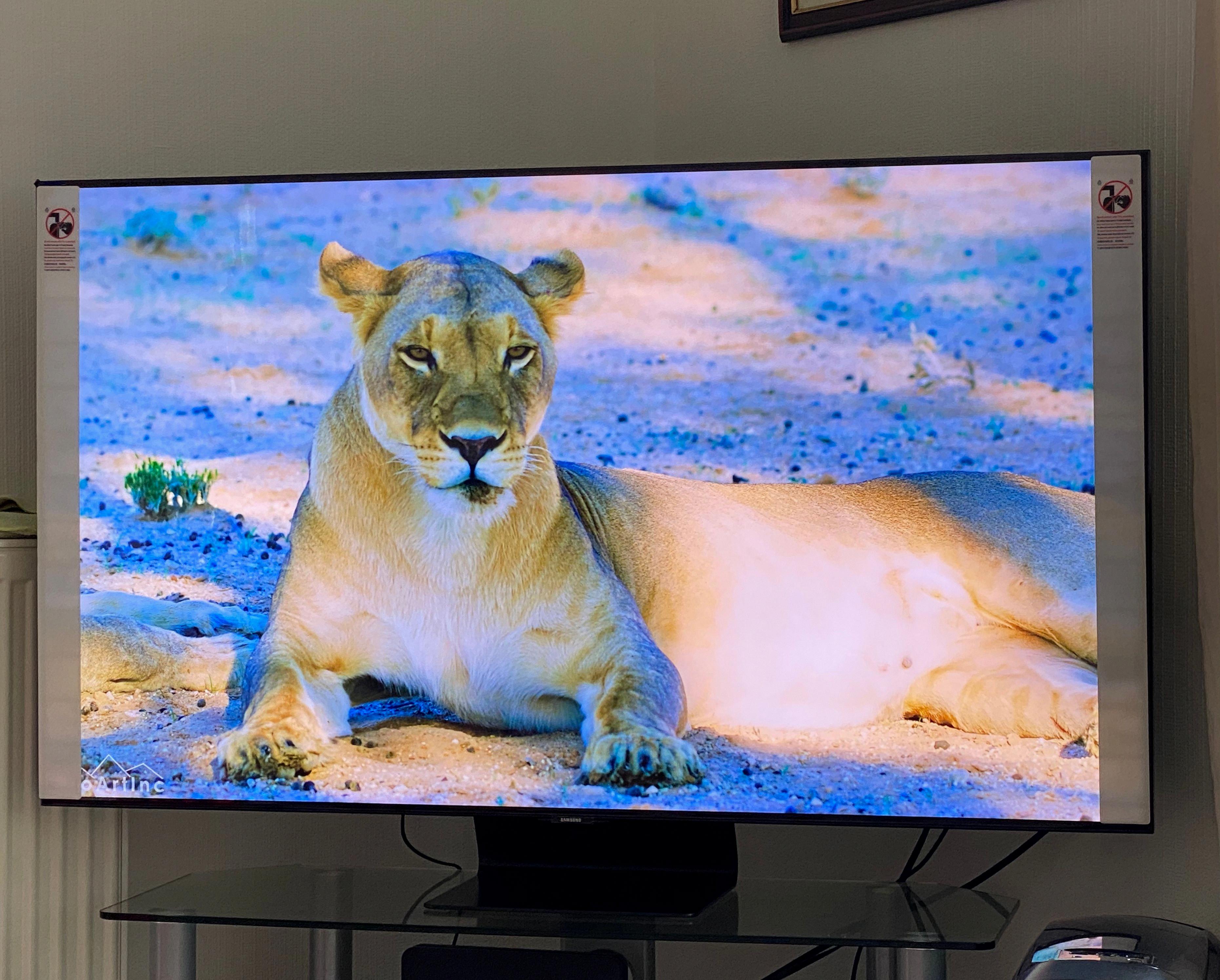 tv screen is blue tint