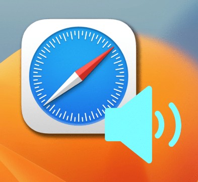 How to Enable Safari Web Browser Audio on Your iPhone? 2 How to Enable Safari Web Browser Audio on Your iPhone? 1